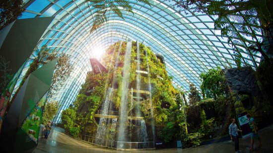 Credit: Gardens by the Bay