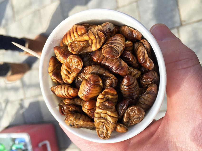 Beondegi (Steamed Silkworm)