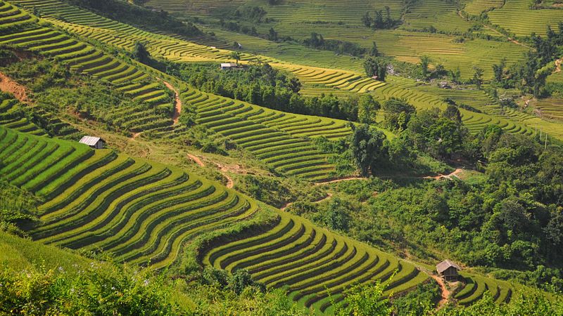 sapa vietnam