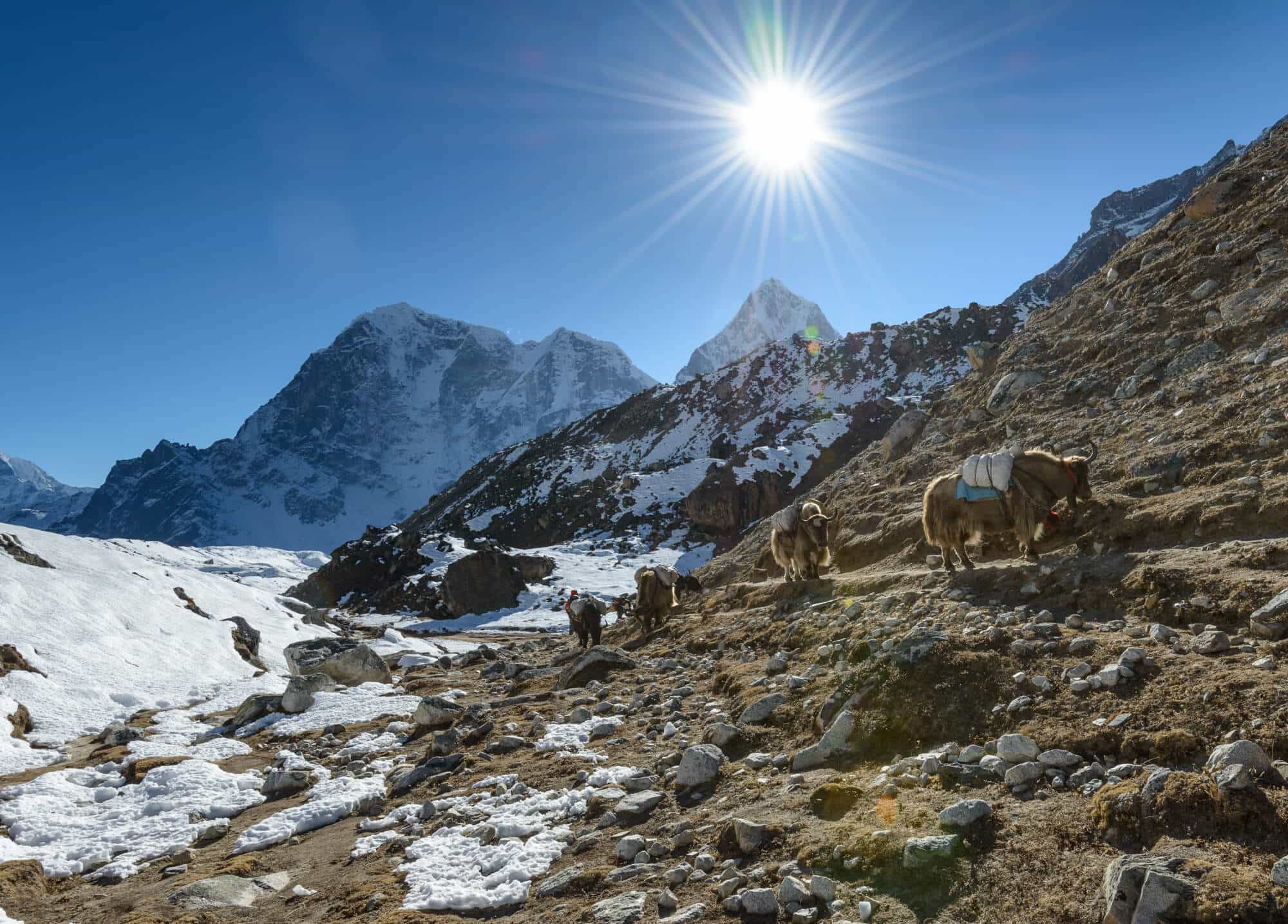 Everest Base Camp