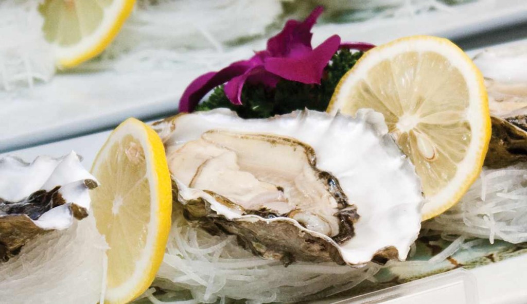 Oysters